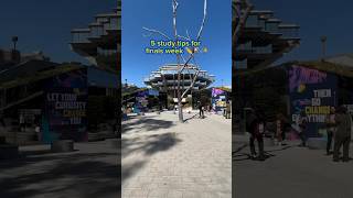 How to survive UC San Diego finals week like a pro. 💛 📝💡⭐ #UCSD #UCSanDiego #FinalsWeek #Finals