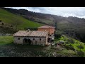 #2  Garden Cleanup Begins | Outbuilding Tour, Olive Tree Trimming