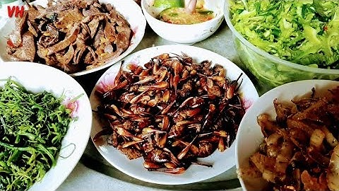Tôm Rừng Mon  Đặc Sản Có Một Không Hai Chỉ Có Ở Rừng Già