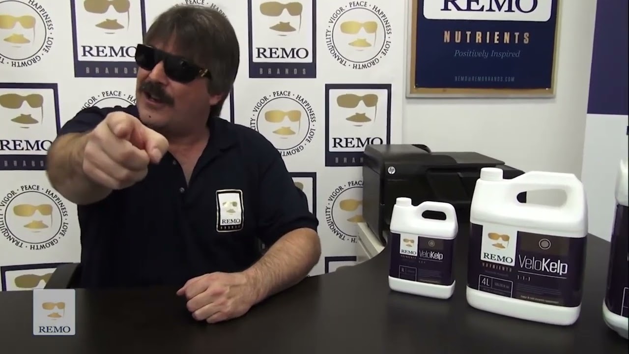 Remo Nutrients   VeloKelp