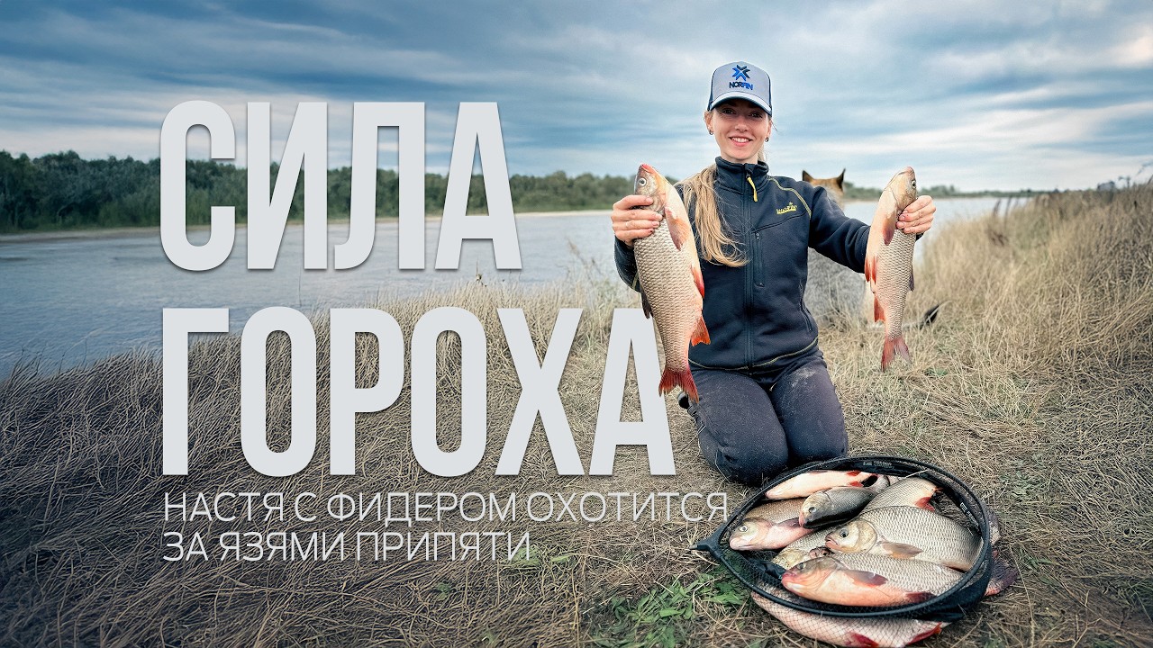 ЯЗИ на фидер! Рыбалка мечты на реке Припять. Лещ и язи на горох!