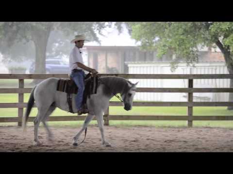 3 Minute Training Tip - Soft Smooth Transitions - Walk to Canter