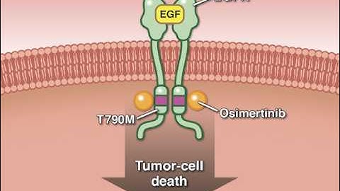 Osimertinib in Advanced Non–Small-Cell Lung Cancer