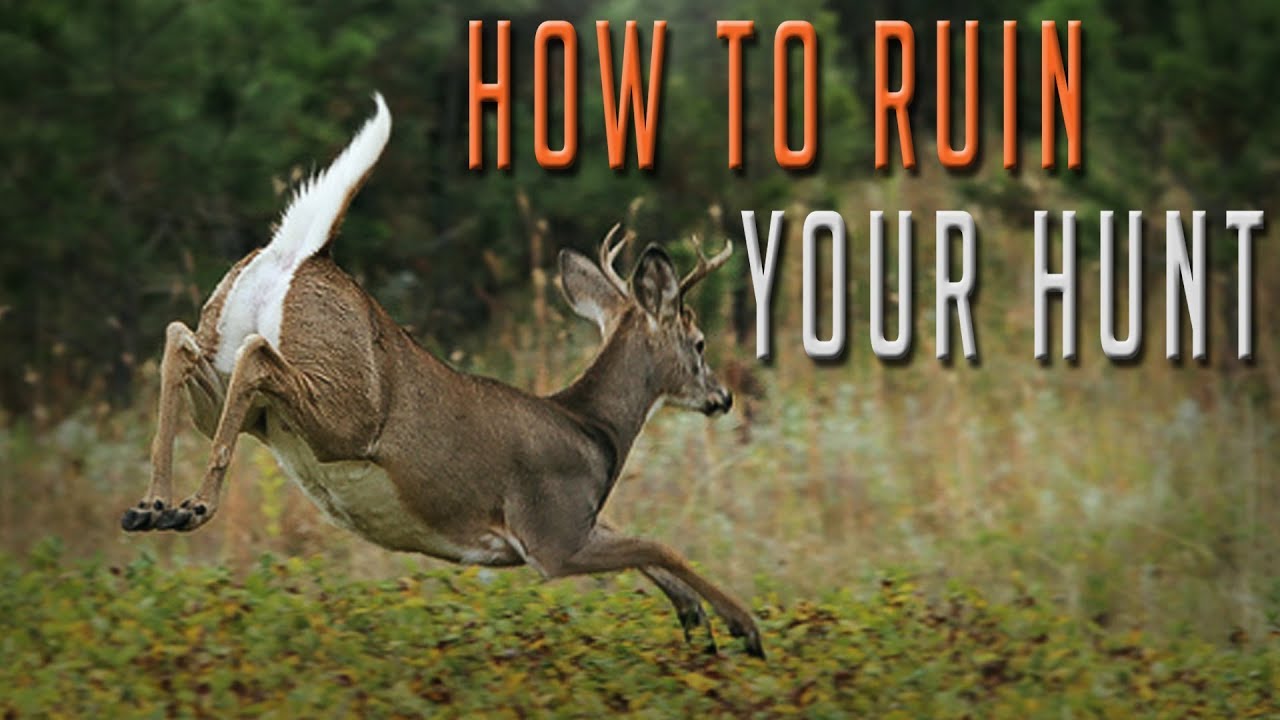 Deer Hunting Mistakes That Ruin Your Hunt Before it Even Starts!