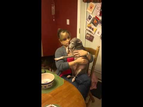 Videó: Burping a kutyákban Normál?