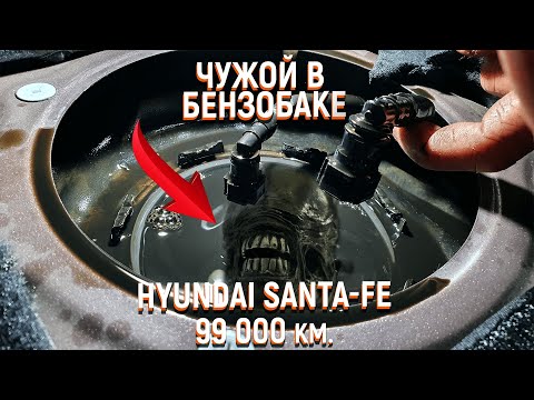 Hyundai Santa Fe D4HB ремонт топливной аппаратуры - цена собственной ошибки