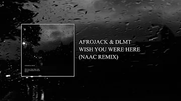 Afrojack & DLMT - Wish You Were Here (feat. Brandyn Burnette) (NAAC Remix)