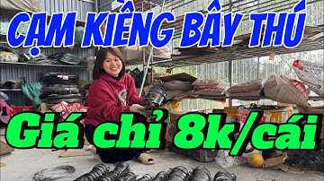 CẠM KIỀNG BẪY CHUỘT , CẠM BẪY THÚ RỪNG SIÊU DÍNH. HỖ TRỢ LÀM BÀN ĐẠP 0962417729