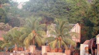 mes iles Caraibes