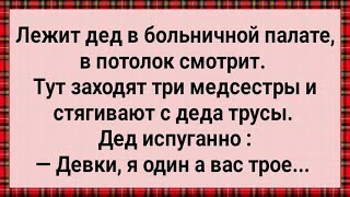 Три Медсестры в Палате Деда Скрутили! Сборник Свежих Анекдотов! Юмор!