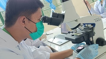 Direct Fecal Smear (DFS) Guide/Tutorial