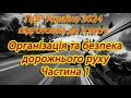 Організація та безпека руху 2024 Частина 1