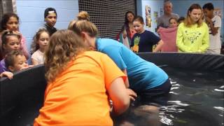 MTC Baptisms 2016