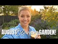 My August Blooming Garden | Late Summer Planting Inspiration!