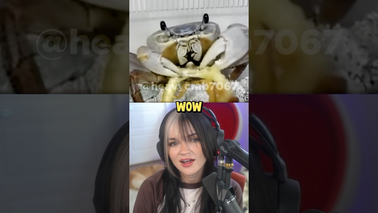 Crabs Are Cute Now??