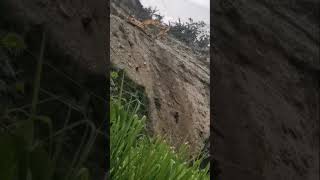 Very Dangerous Job!