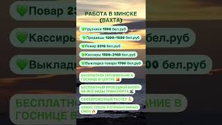 IMG 8579