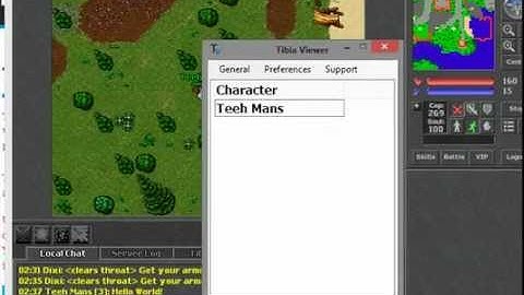 TibiaViewer - Scripting Demonstration