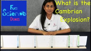 What is the Cambrian Explosion? The Earth Timeline Part 2