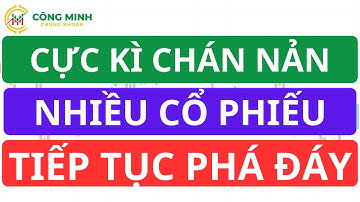 CỰC KÌ CHÁN NẢN - NHIỀU CỔ PHIẾU TIẾP TỤC PHÁ ĐÁY