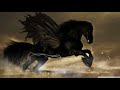 Beautiful black horse wallpaper images