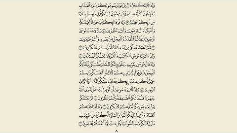 سورة البقرة مكرر 5 مرات ( رعد الكردي ) صفحة 8