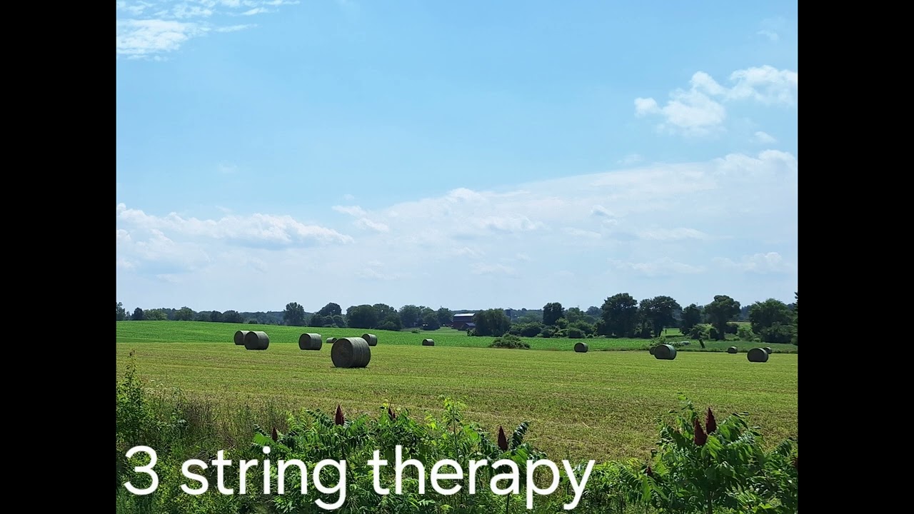 3 string therapy   Lake Time