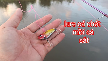 câu cá thiên nhiên | lure cá chét trong vuông tôm miền tây giật phê tay luôn