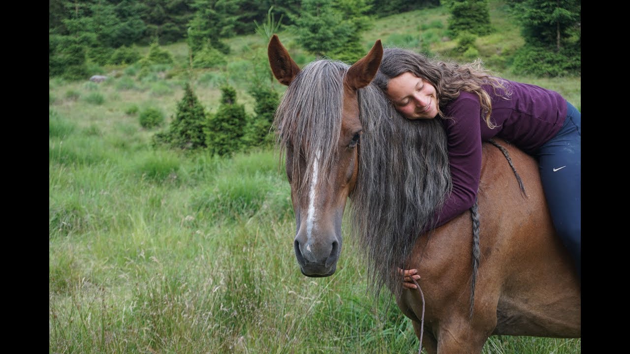 GOODBYE FEENJA ♥ - 