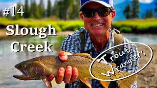 Slough Creek Fly Fishing Yellowstone Dry Dropper | Trout Wranglers  (Episode 14)