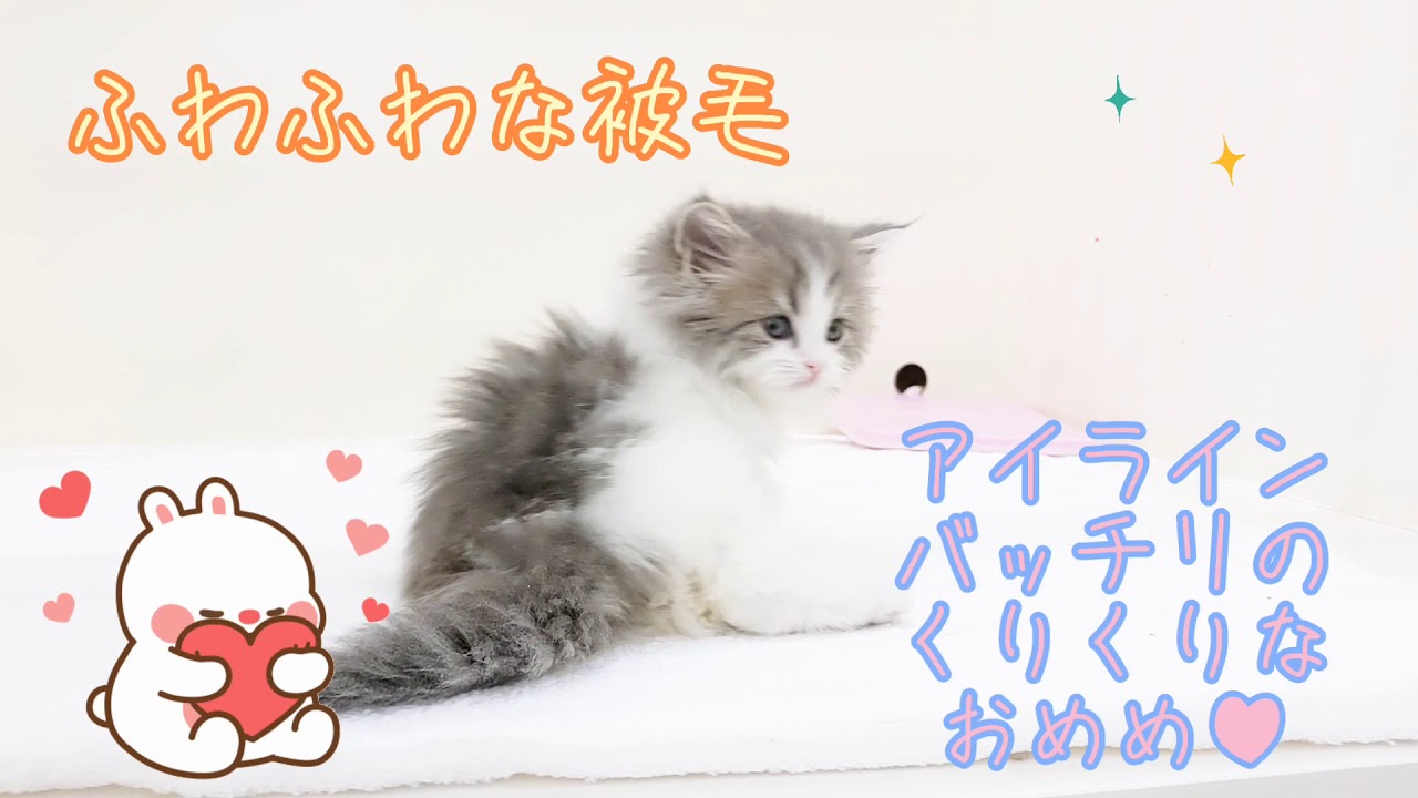 2 9入舎ラガマフィン Youtube