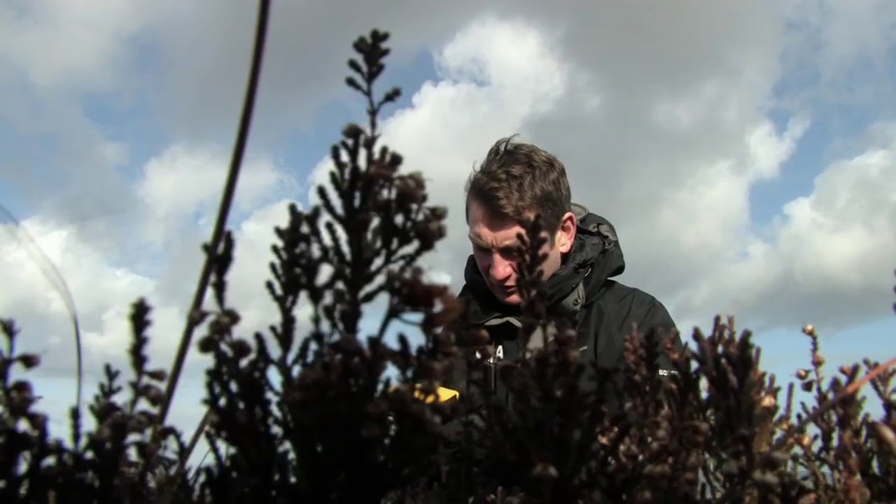 Education @ Marble Arch Caves UNESCO Global Geopark