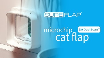 How to check your DualScan Microchip Cat Flap for fur build up