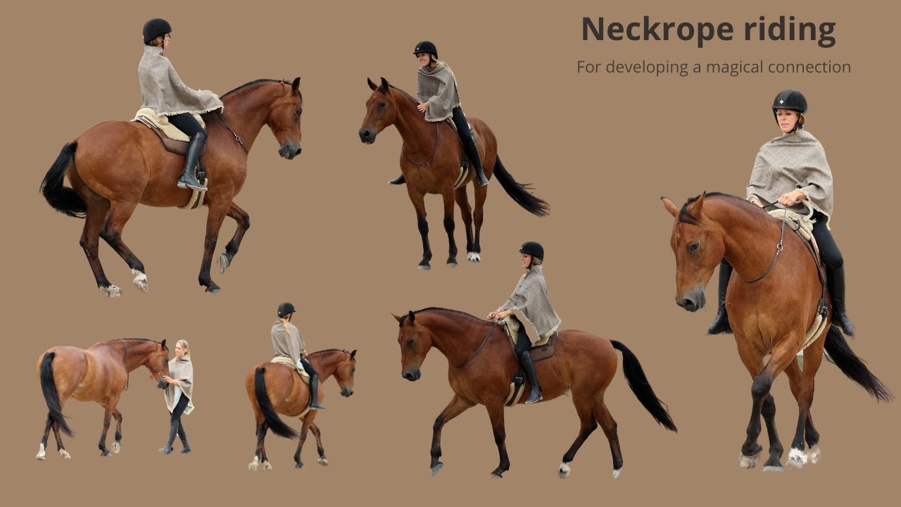 Turning Dreams Into Reality – Dressage with a Neck Rope