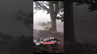 พายุฝน ลมแรง#ฝนตก #พายุ #ลมแรง #reincarnation #depression #feedshorts #automobile