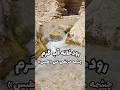 چشمه مرتضی علی طبس معجزه آب در دل کویر ایران 