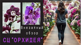 картинка: Я бы хотела все 5-7 но взяла одну🫶🤩😍КРЕМЕНЬ! потрясающий ассортимент!