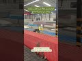 الواح قرميد Pvc ضد الكسر والماء والنار من ارض المصنع  #roofing #اكسبلور #قرميد_بلاستيك #تخفيضات