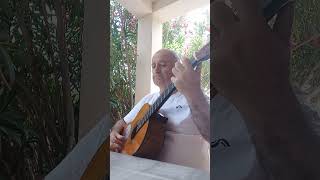 Say Goodbye (Fleetwood Mac) short cover guitar.