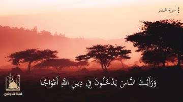 سورة النصر للقارئ الشيخ رعد الكردي HD