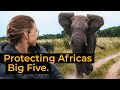 Wildlife conservation at phinda south africa  jack wolfskin