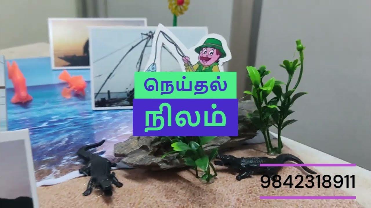 Landforms 5 Types Of Land Model landforms-5-types-of-land-model