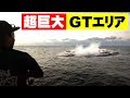 遂に超巨大「GTエリア」を北谷の船長が見つけた！【TJ】