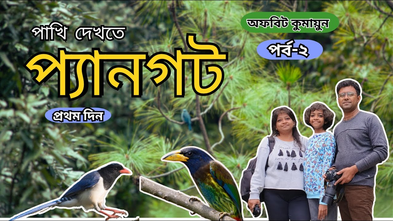 পাখি দেখতে প্যানগট  I Bird Watching at Pangot with Guide I Sun Bird Retreat I  Ghughu Kham INainital