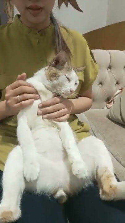 Si Mizzu Mintak Di Pijit.