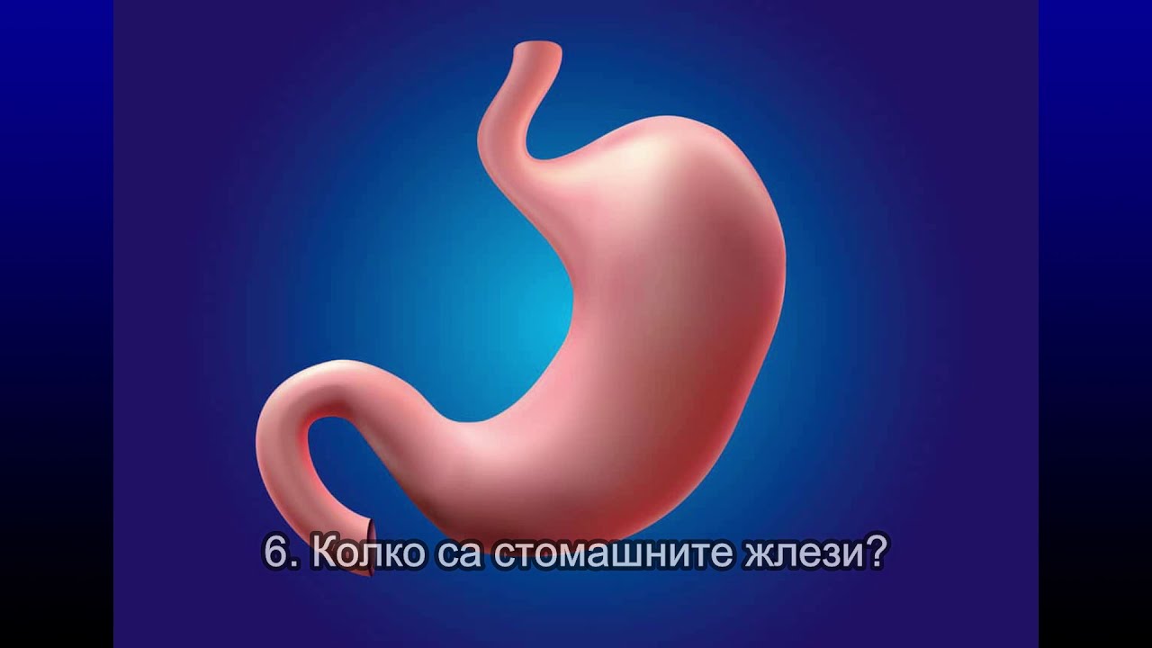 Работа на стомаха - учебно видео