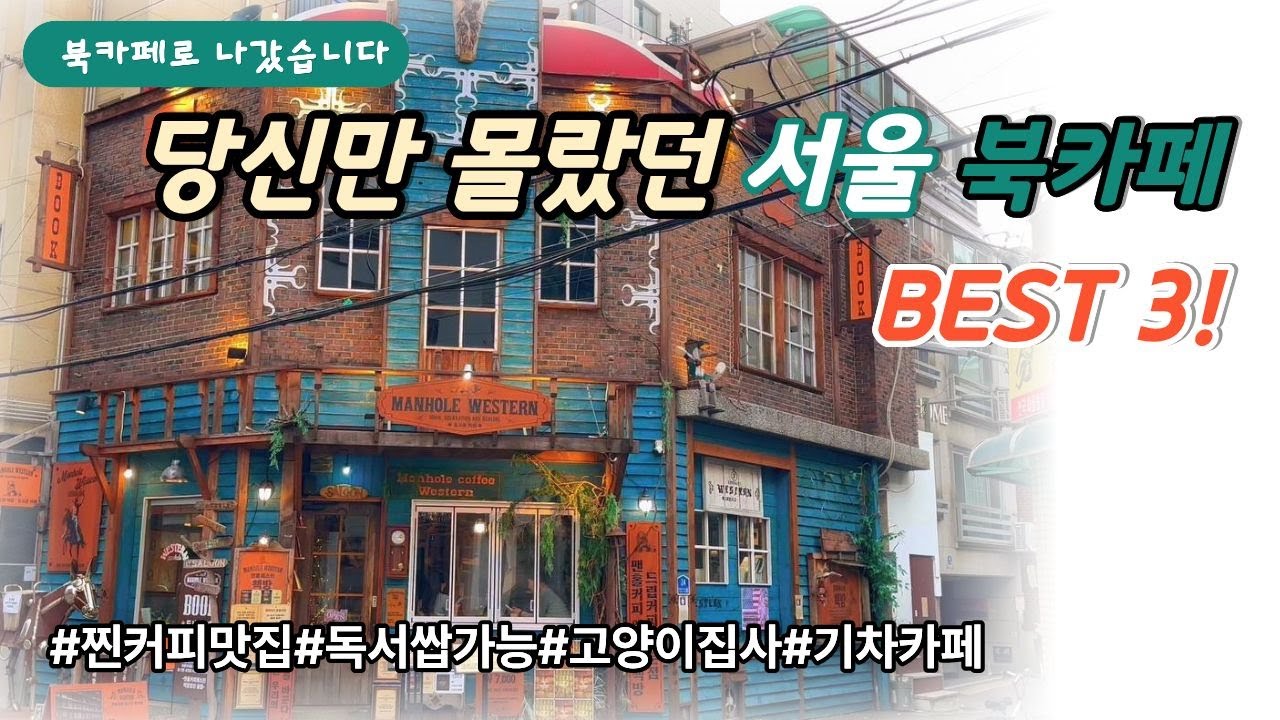 당신만 몰랐던 서울 북카페 BEST 3! ☕️겨울에 가기 딱 좋은, 따뜻한 온기가 가득한 📚서울 북카페 & 고양이 서점