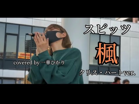 スピッツ/楓(ｸﾘｽ・ﾊｰﾄver.)【covered by 一華ひかり】