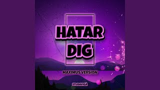 Miniatura de vídeo de "Studavigå - HATAR DIG - Maximus Version"