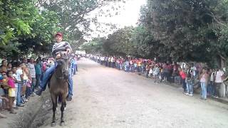 Carreras de caballos en Pileta, Corozal.